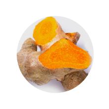 Curcuma-220.jpg