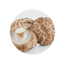 Shiitake-220.jpg