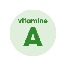 VitamineA-220.jpg