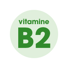 VitamineB2-220.jpg