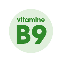 VitamineB9-220.jpg