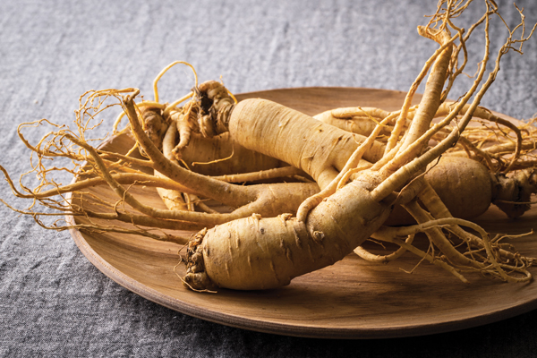 Zoom sur le ginseng