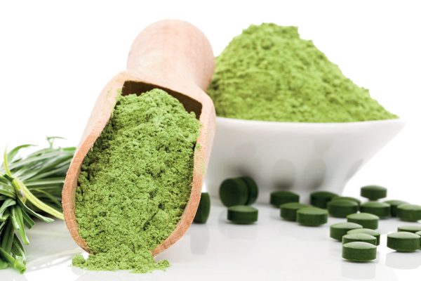 Zoom sur la chlorella