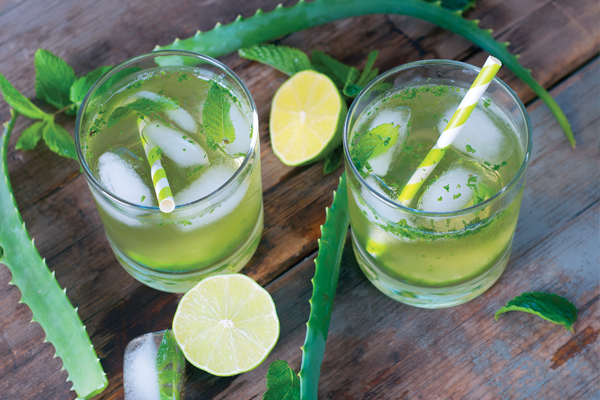 Recette DETOX : boisson aloe vera, citron vert et menthe